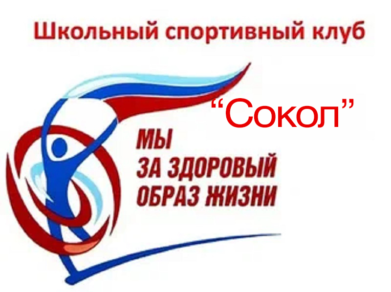 Школьный Спортивный Клуб &amp;quot;Сокол&amp;quot;.